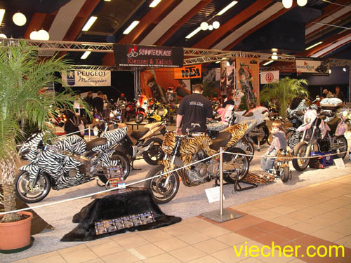 e_viecher.com_bikes (9)