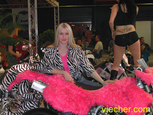 f_viecher.com_girls (33)